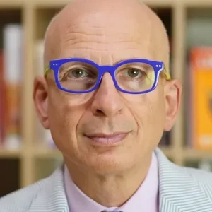 Seth-Godin